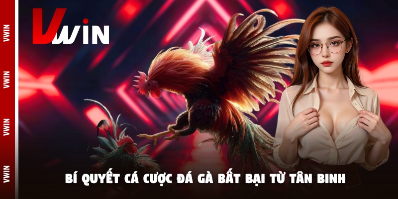 Bí quyết cá cược đá gà bất bại từ tân binh