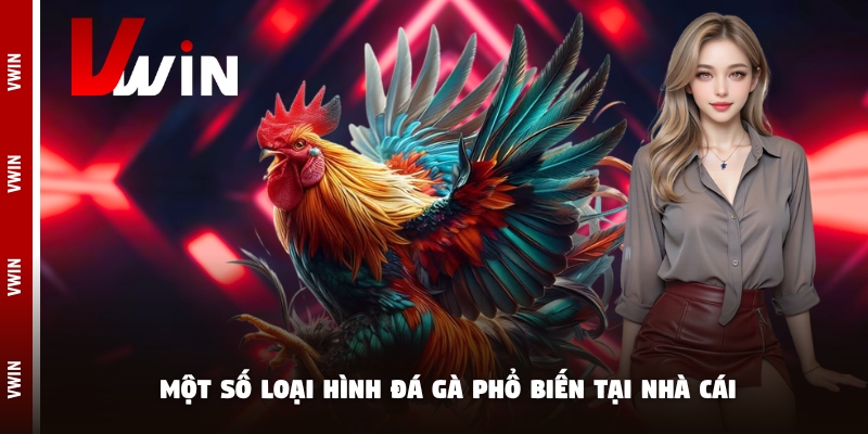 Một số loại hình đá gà phổ biến tại nhà cái