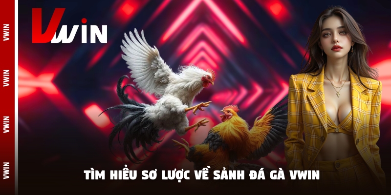 Tìm hiểu sơ lược về sảnh đá gà Vwin