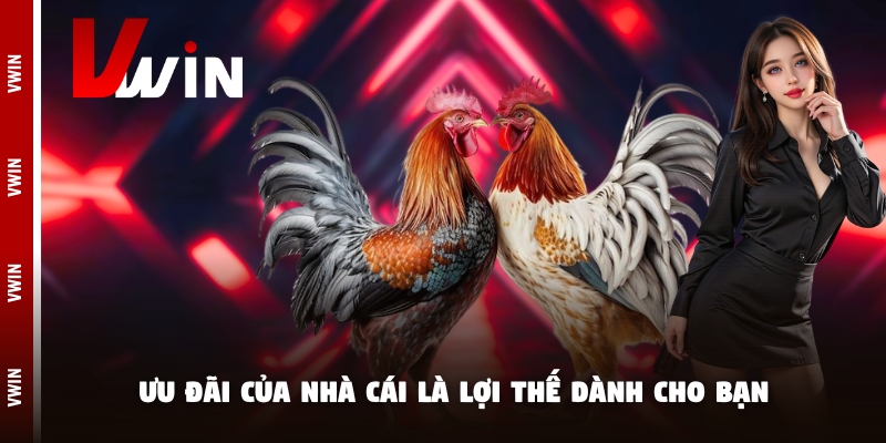 Ưu đãi của nhà cái là lợi thế dành cho bạn